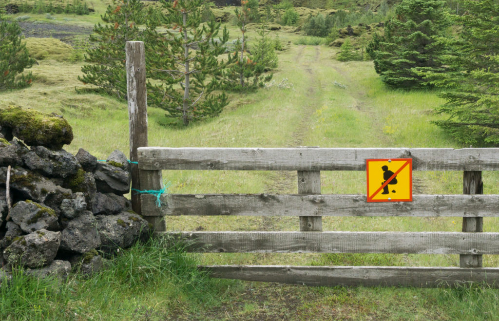 guide de voyage Islande insolite, affiche de caca au sud de l'Islande