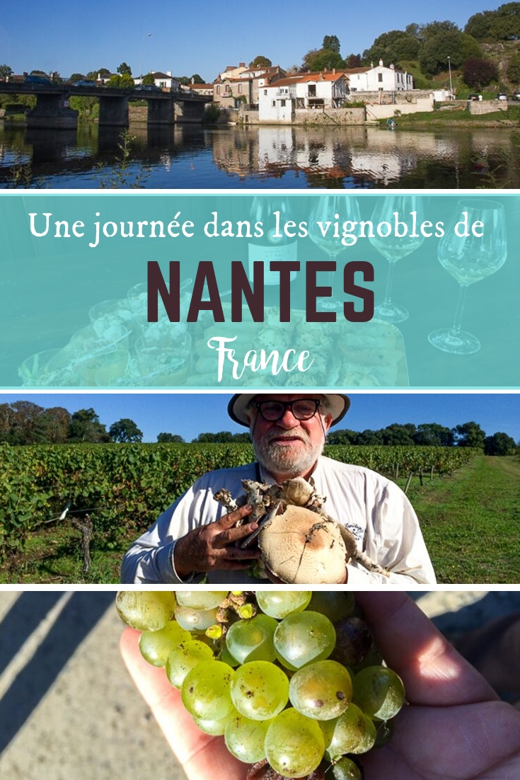 Journée dans les vignobles de Nantes, France