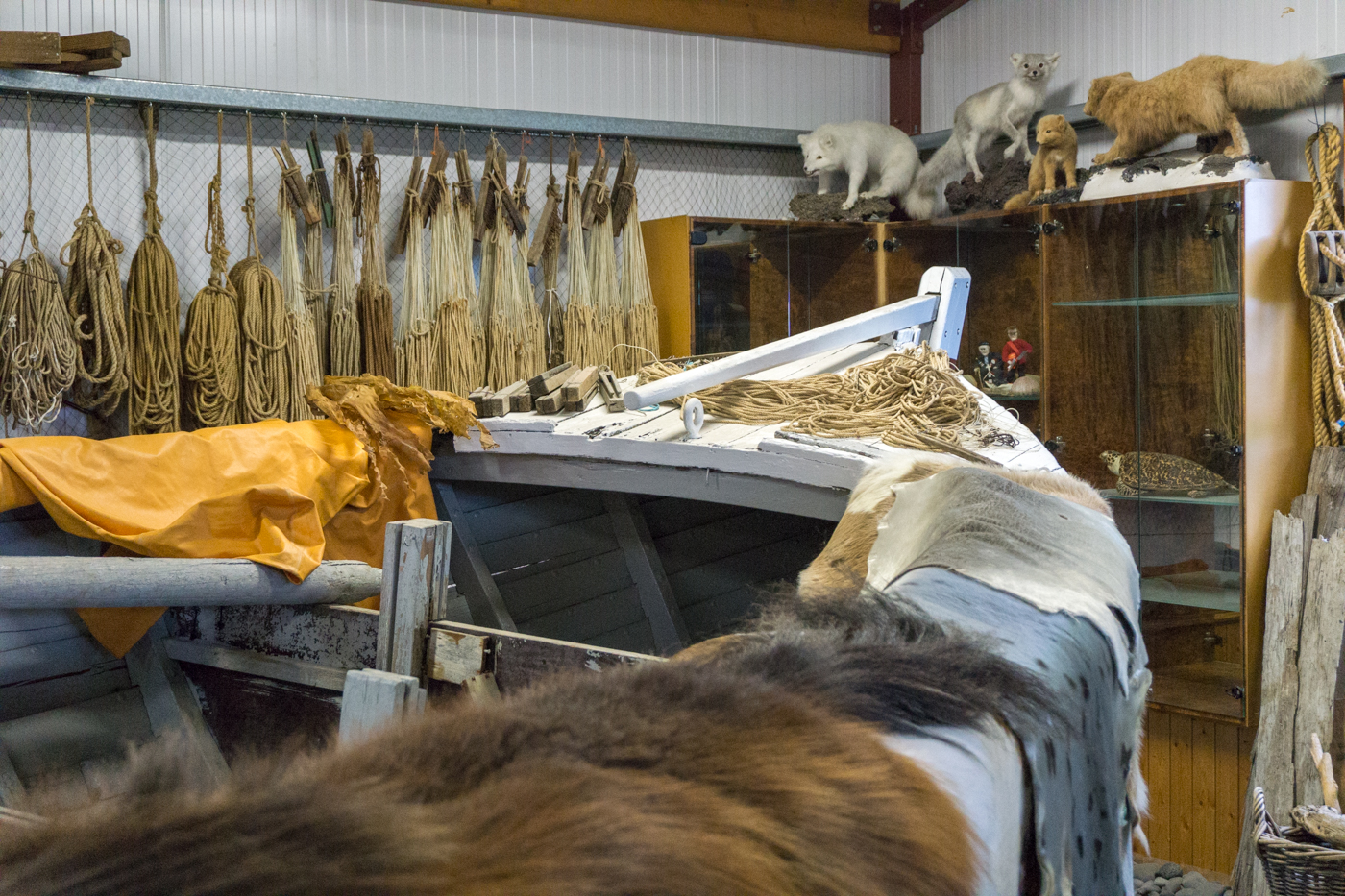 Musée du requin - Hakarl - Péninsule de Snaefellsnes, Islande