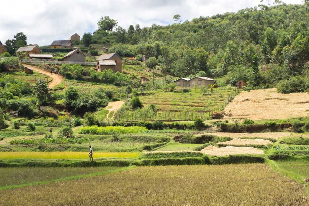 Colline et rizière à Madagascar