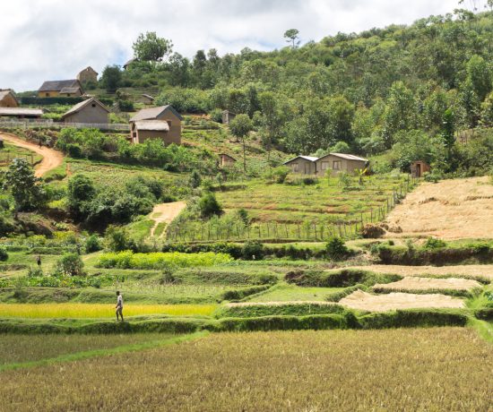 Colline et rizière à Madagascar