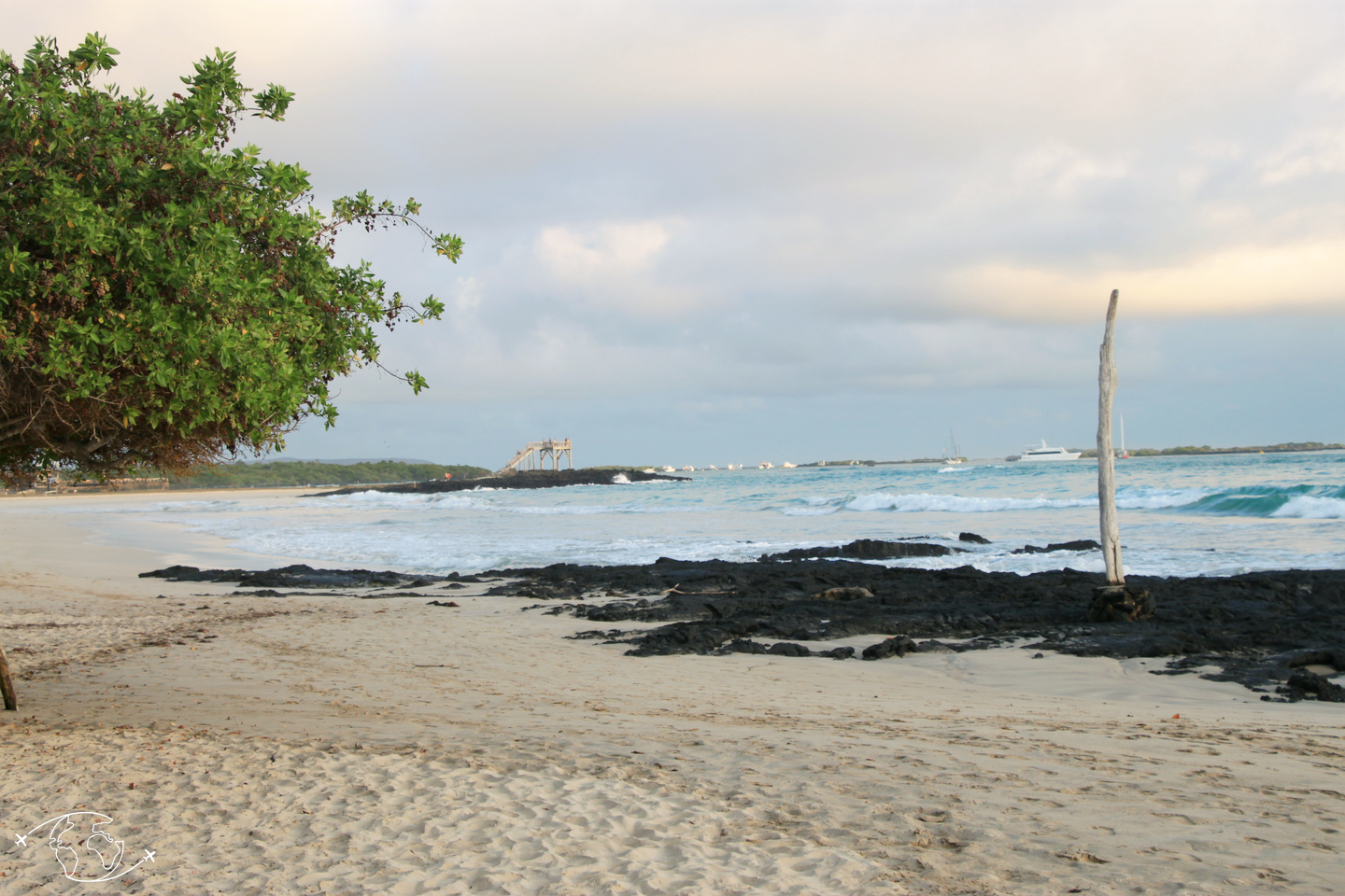 Galapagos, destination idéale en 2019