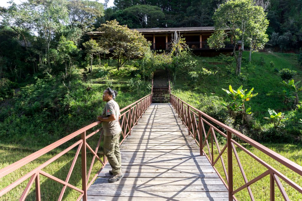 Passerelle vers le Saha Forest Camp