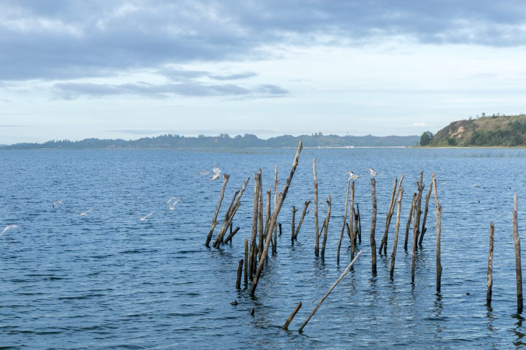 Oiseaux sur filets de pêche locaux - Madagascar