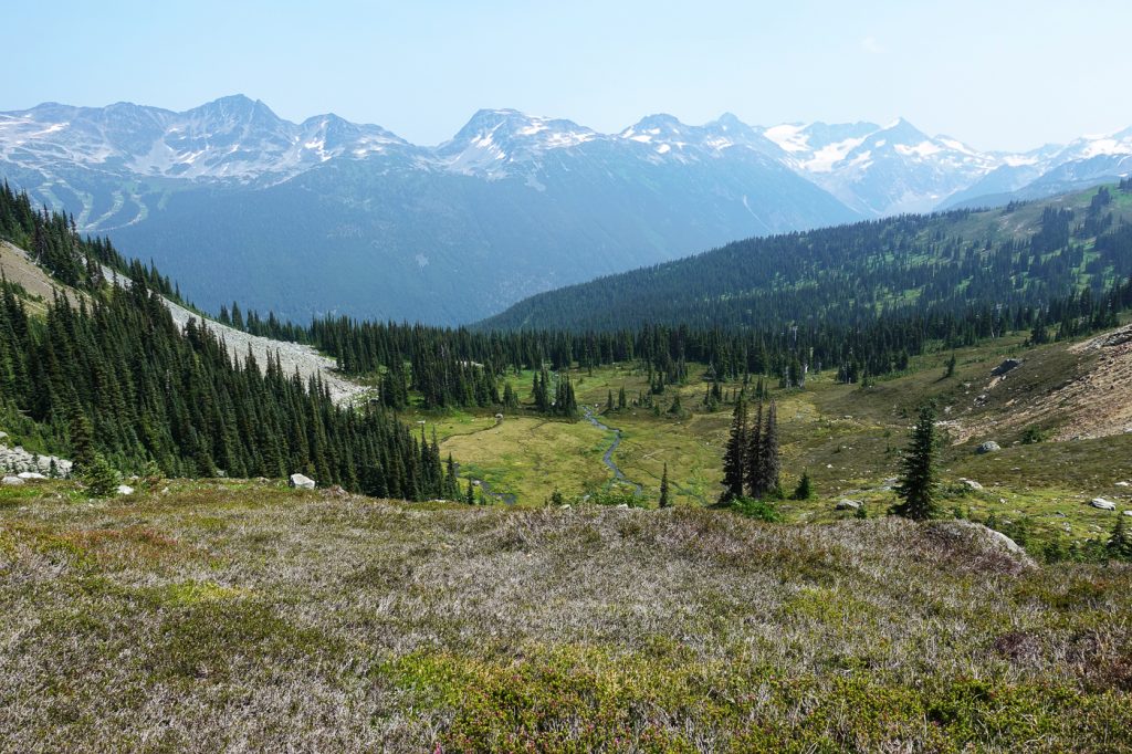 Vue panoramique du sentier High Note dans les Rocheuses Canadiennes à Whistler