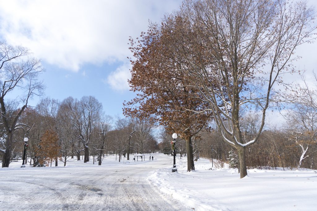 Parc-jardin du Rideau Hall d'Ottawa, Sussex Drive