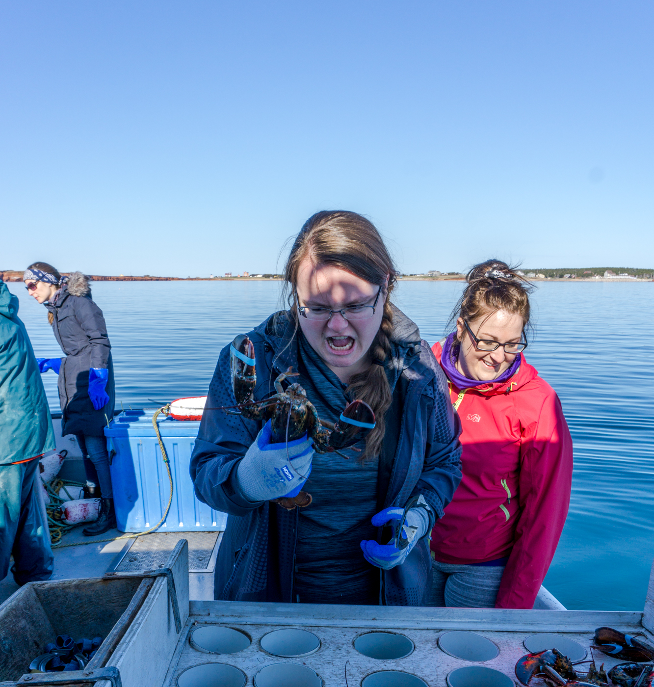 Jennifer essaie d'élastiquer le homard en voyage aux îles de la Madeleine