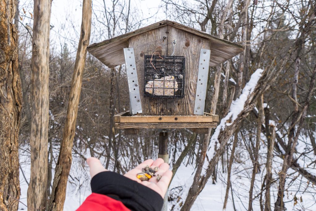 cabane à oiseau au Mer bleue bog d'Ottawa