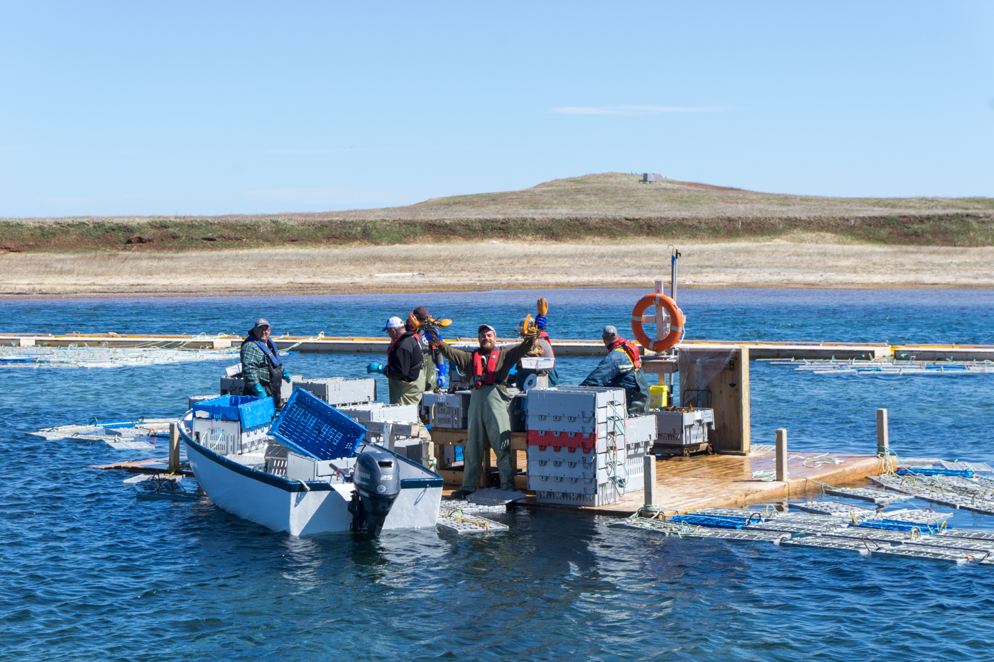 pêcheurs qui trient le homard à Petite-Baie de Havre-aux-Maisons