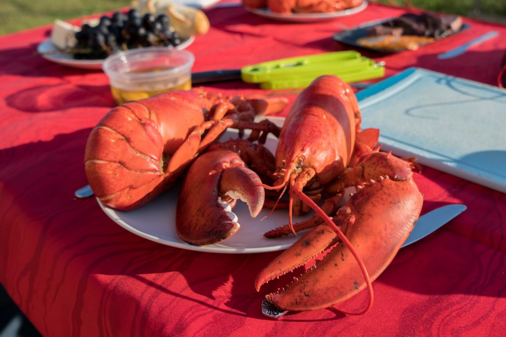 À faire aux îles de la Madeleine - Manger du homard frais