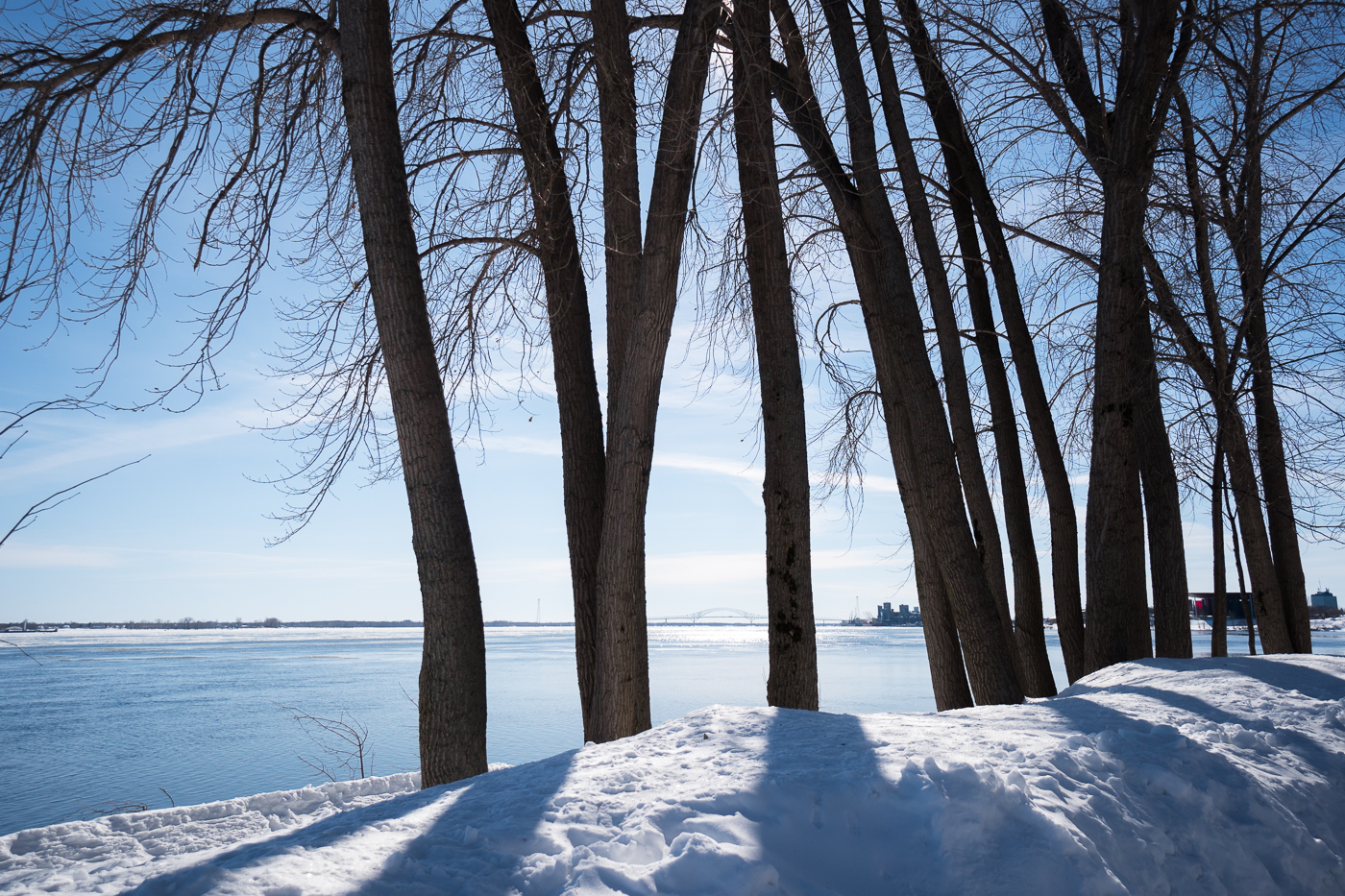 Fleuve Saint-Laurent - Vue du parc de l'île St-Quentin