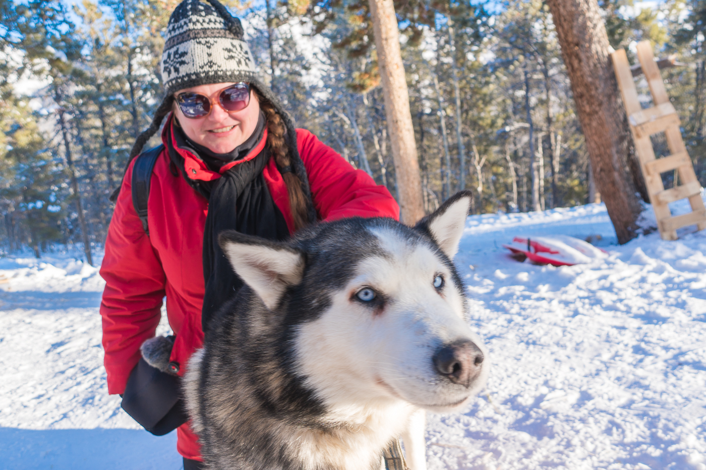 Jennifer avec les chiens de traîneaux Alpen Huskies du Yukon