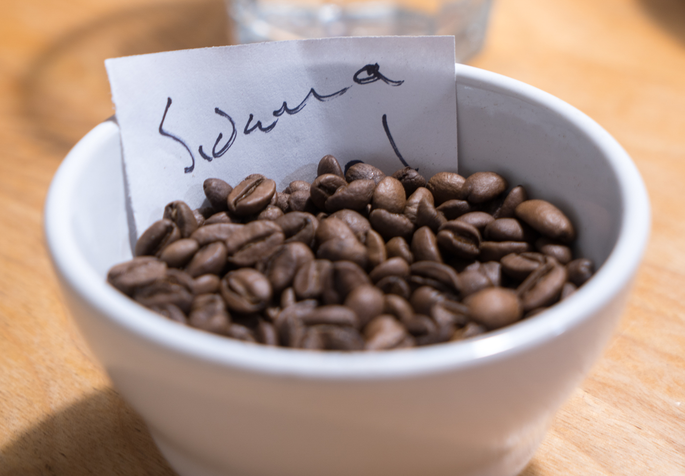 Dégustation de grains et de cafés à Bean North