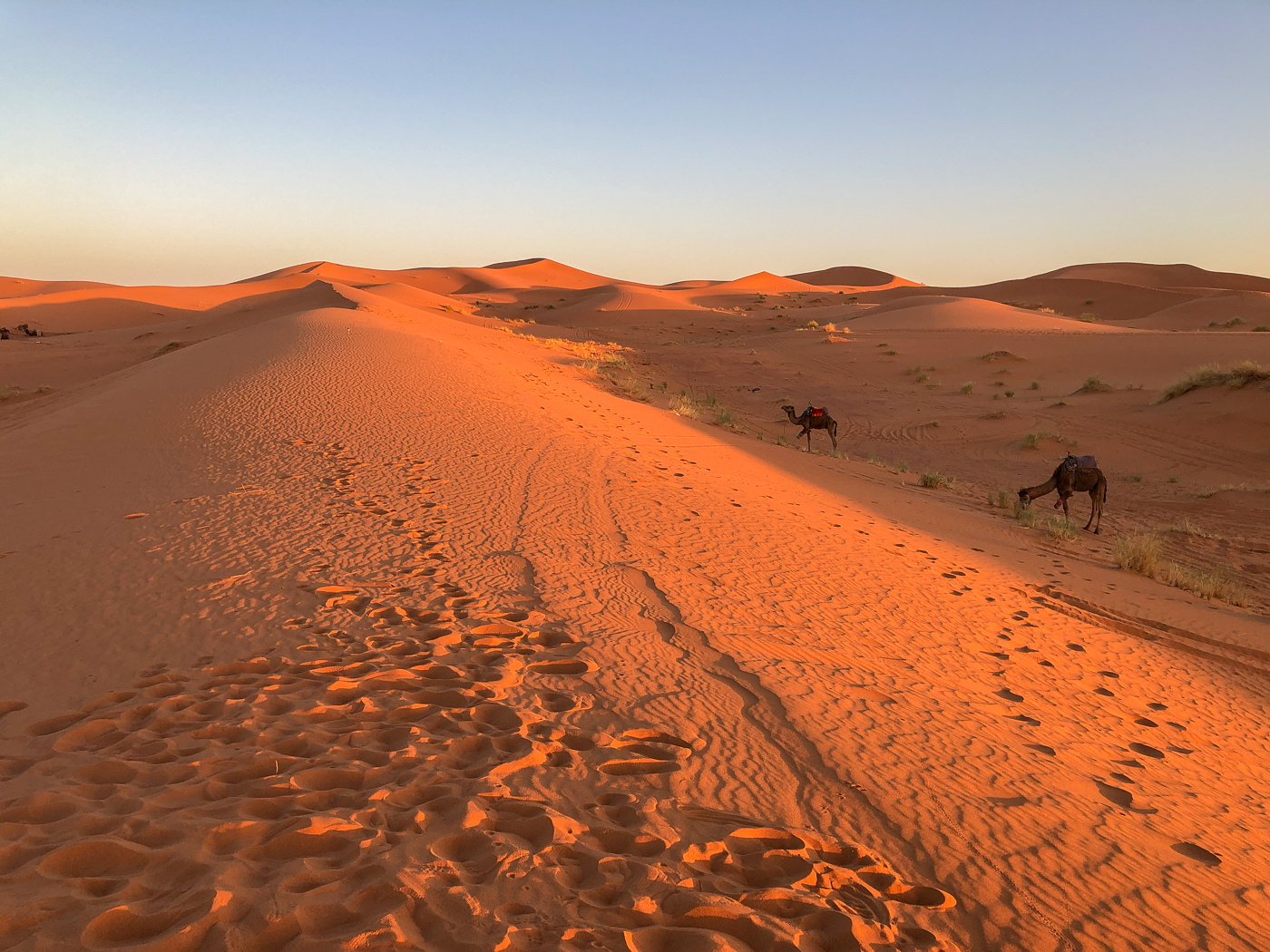 Petit matin au bivouac de Merzouga - Nuit dans le désert du Sahara au Maroc