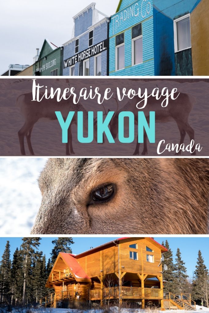 Quoi faire en voyage au Yukon, à Whitehorse et dans les environs