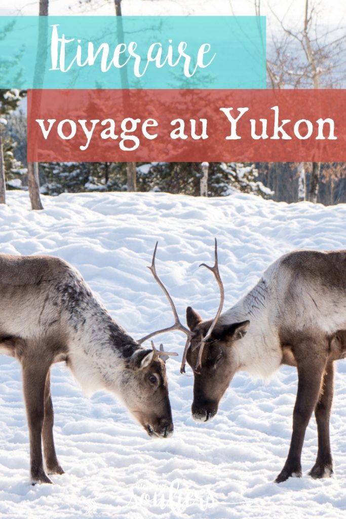 Quoi faire en voyage au Yukon, à Whitehorse et dans les environs en hiver