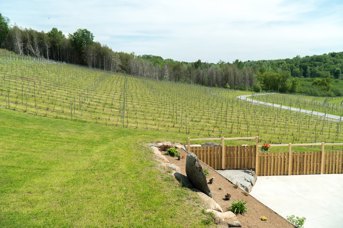 Vignes du Coteau des artisans