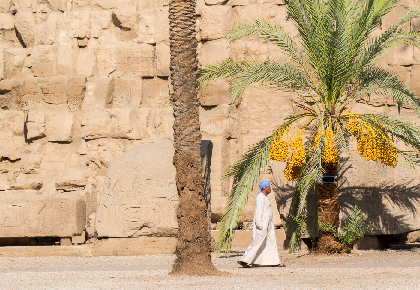 Homme qui marche sous un palmier au temple de Karnak en Égypte en juillet