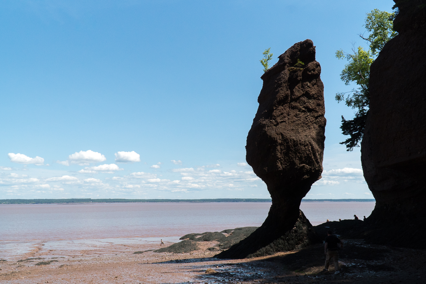 Incontournable à voir au Canada, Hopewell Rocks