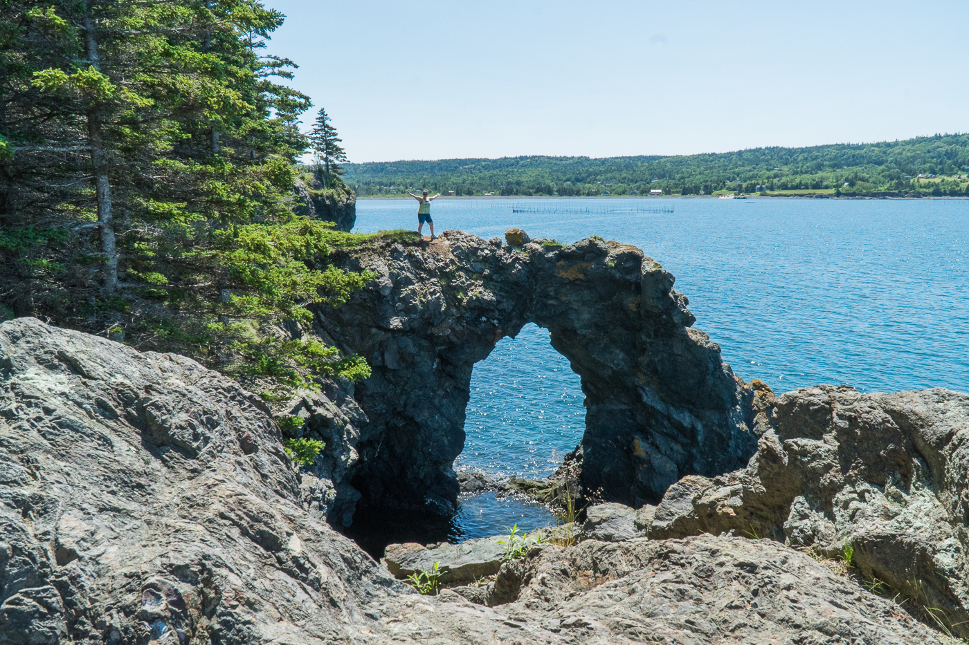 Maude sur le rocher Hole in the Wall - Grand Manan