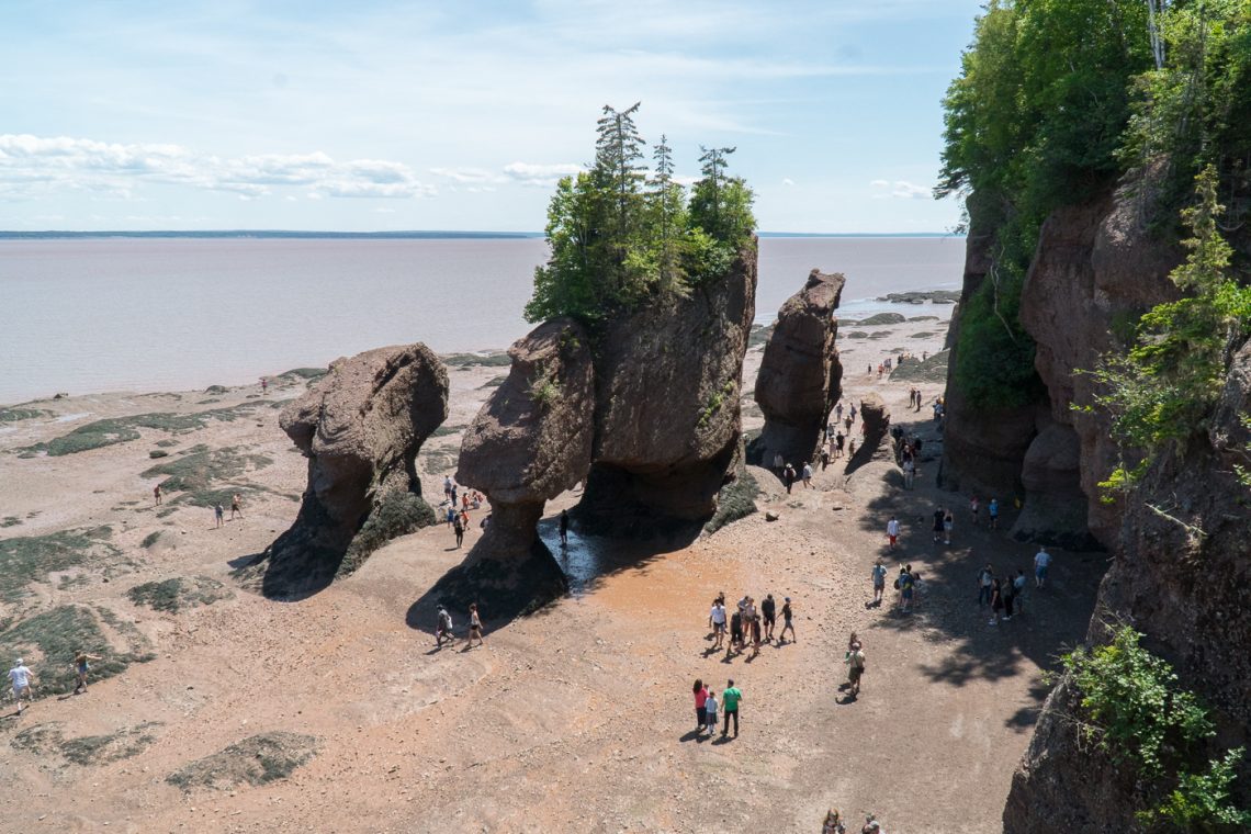 Pots de fleurs à Hopewell Rocks dans la baie de Fundy