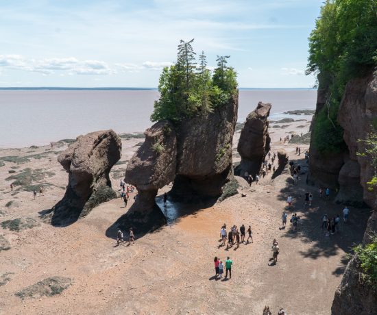 Pots de fleurs à Hopewell Rocks dans la baie de Fundy