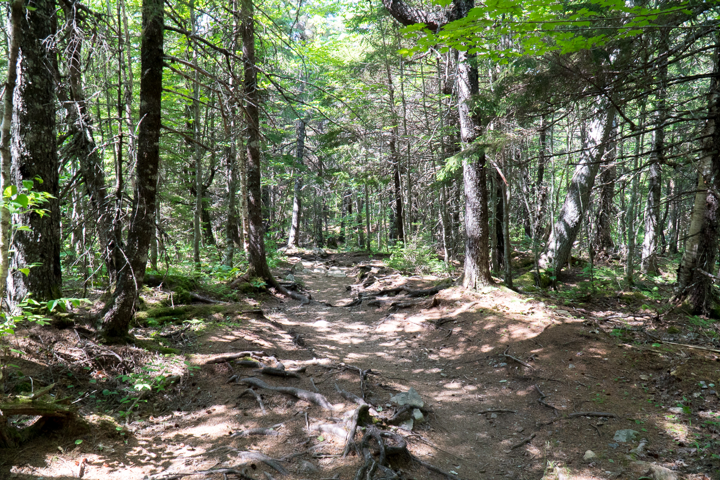 Sentier de randonnée - Parc national Fundy