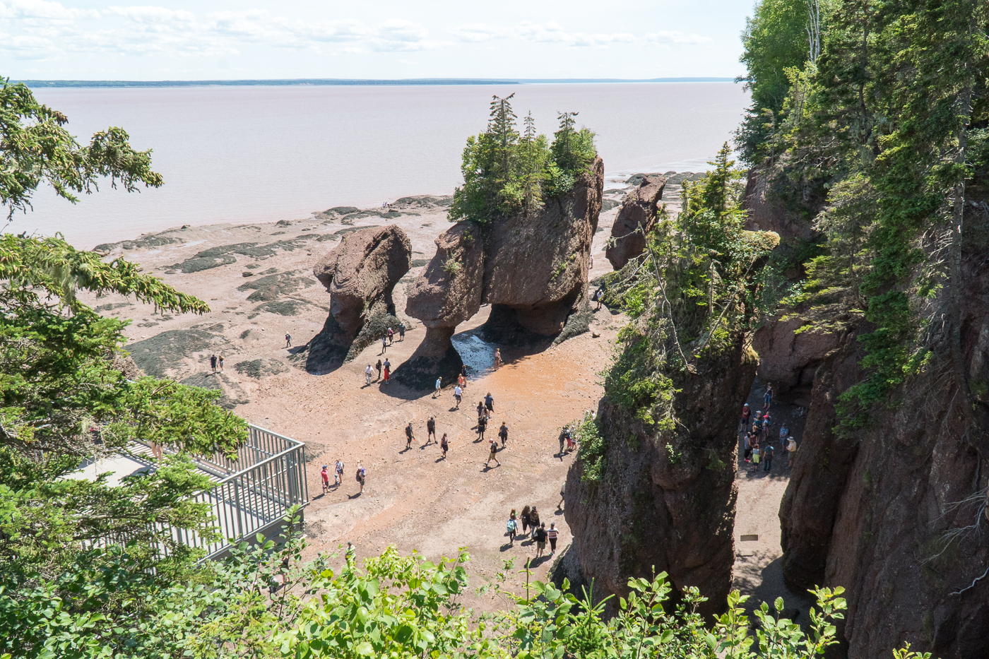 Vue du belvédère sur pots de fleurs à Hopewell Rocks