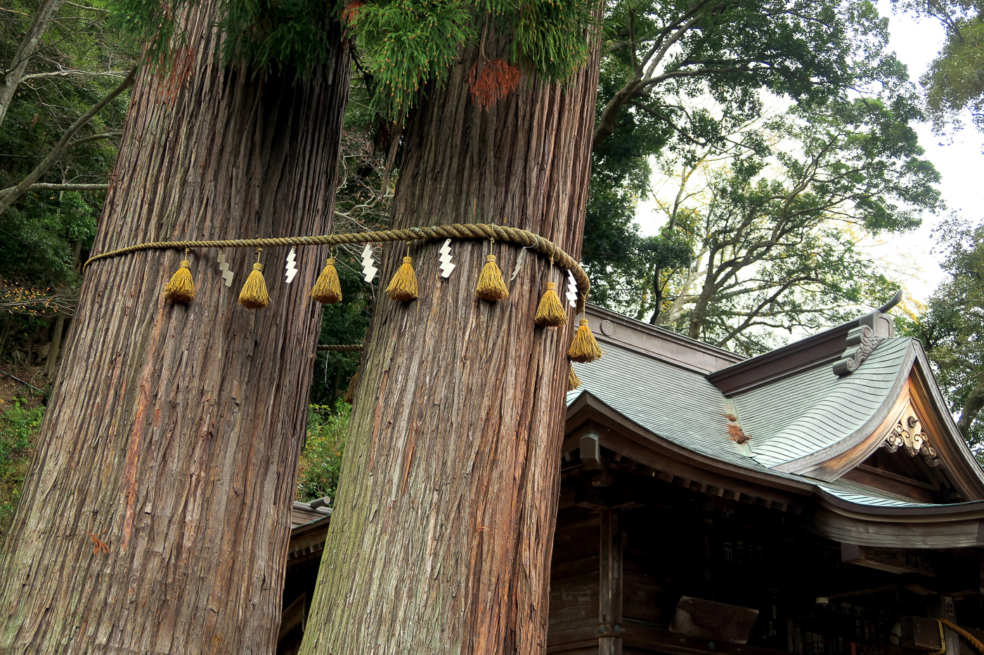 Arbre à prièere - Voyager au Japon en automne