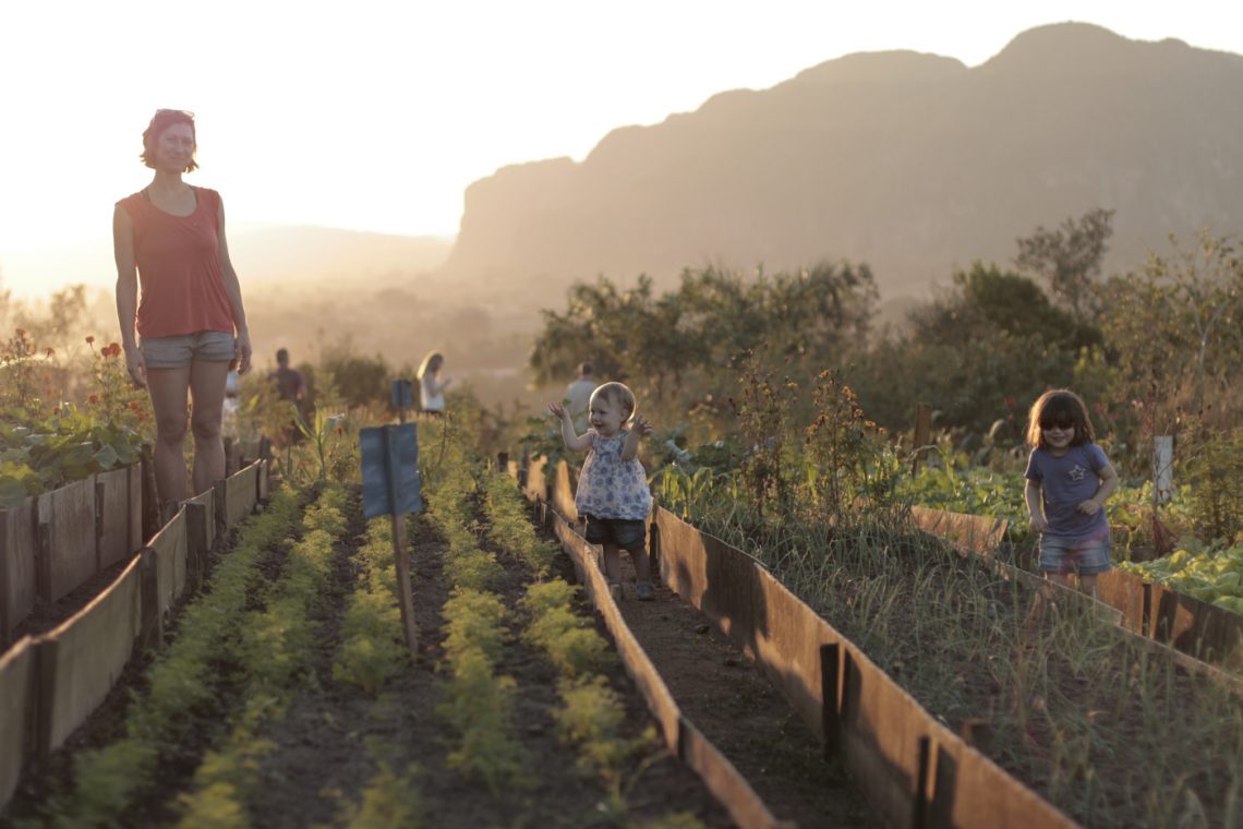 Enfants et mère dans le jardin à Cuba