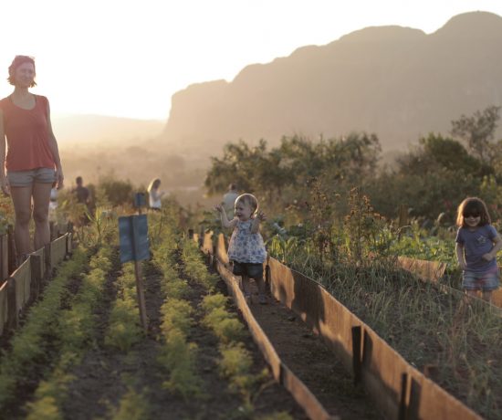 Enfants et mère dans le jardin à Cuba