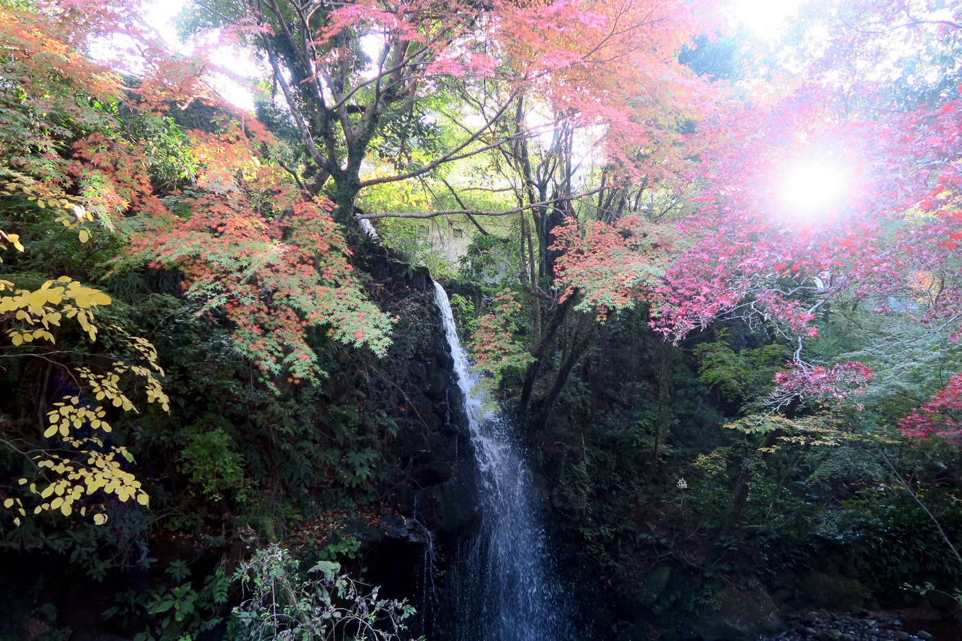 Feuilles d'automne devant une chute au Japon