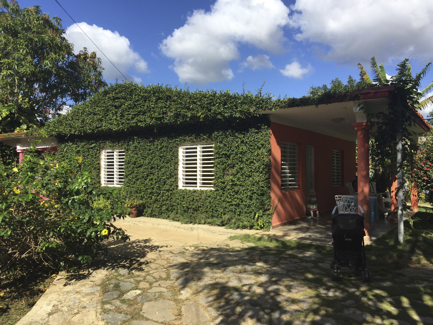 Maison cubaine recouverte de vignes