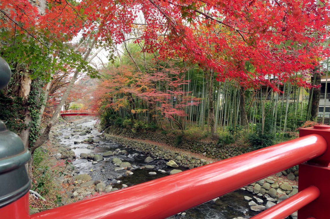 Voyage pour les momiji au Japon en automne - Pont rouge et couleurs