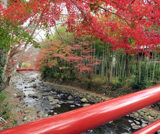 Voyage pour les momiji au Japon en automne - Pont rouge et couleurs