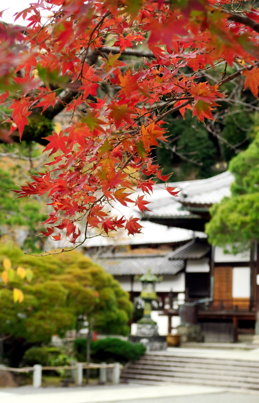 Temple en voyage des moiji au Japon en automne