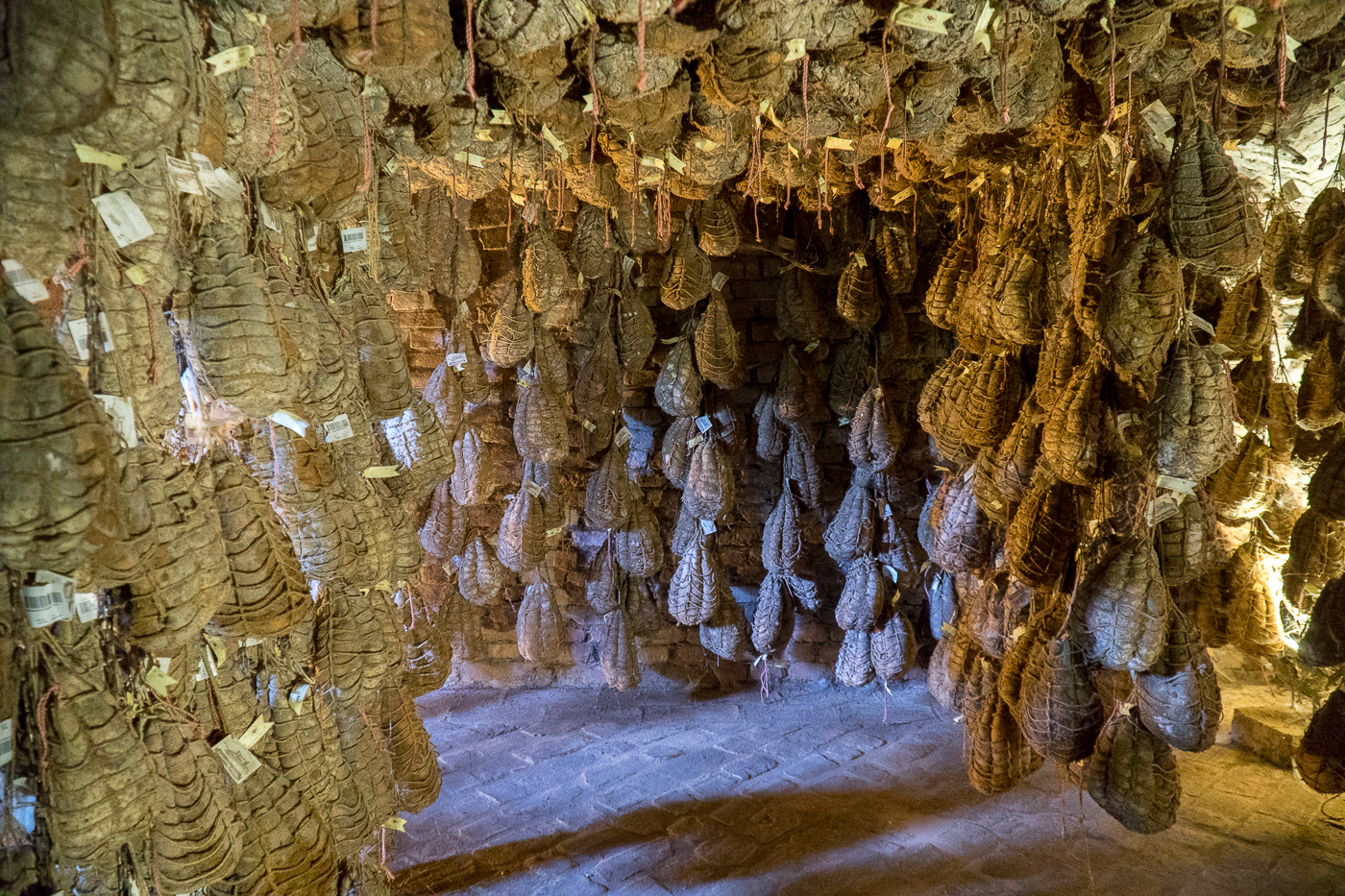 Cave de culatello suspendus à Parme - Quoi manger en Émilie-Romagne