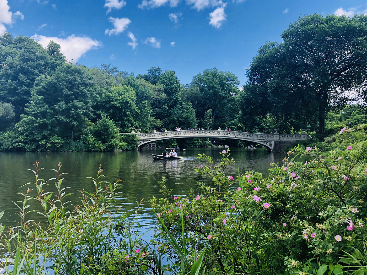 Central Park New York Manhattan