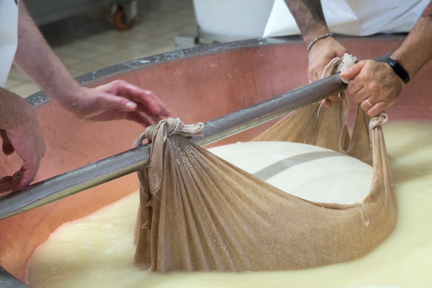 Meule de parmigiano reggiano dans petit lait