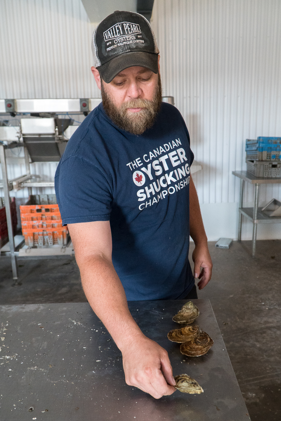 Jeff Noye - Tyne Valley - Valley Pearl Oysters