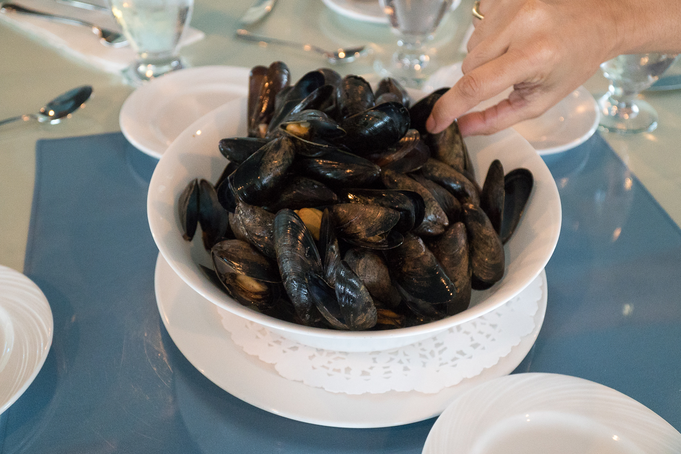 Wind and Reef - Moules fraîches