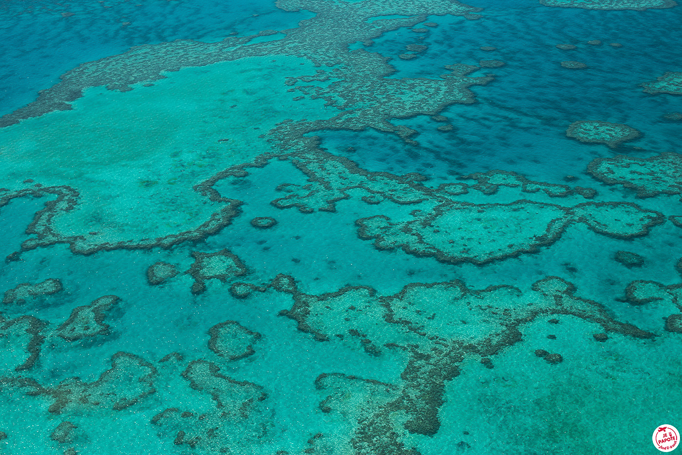 Grande barrière de corail en voyage en Australie en 2020