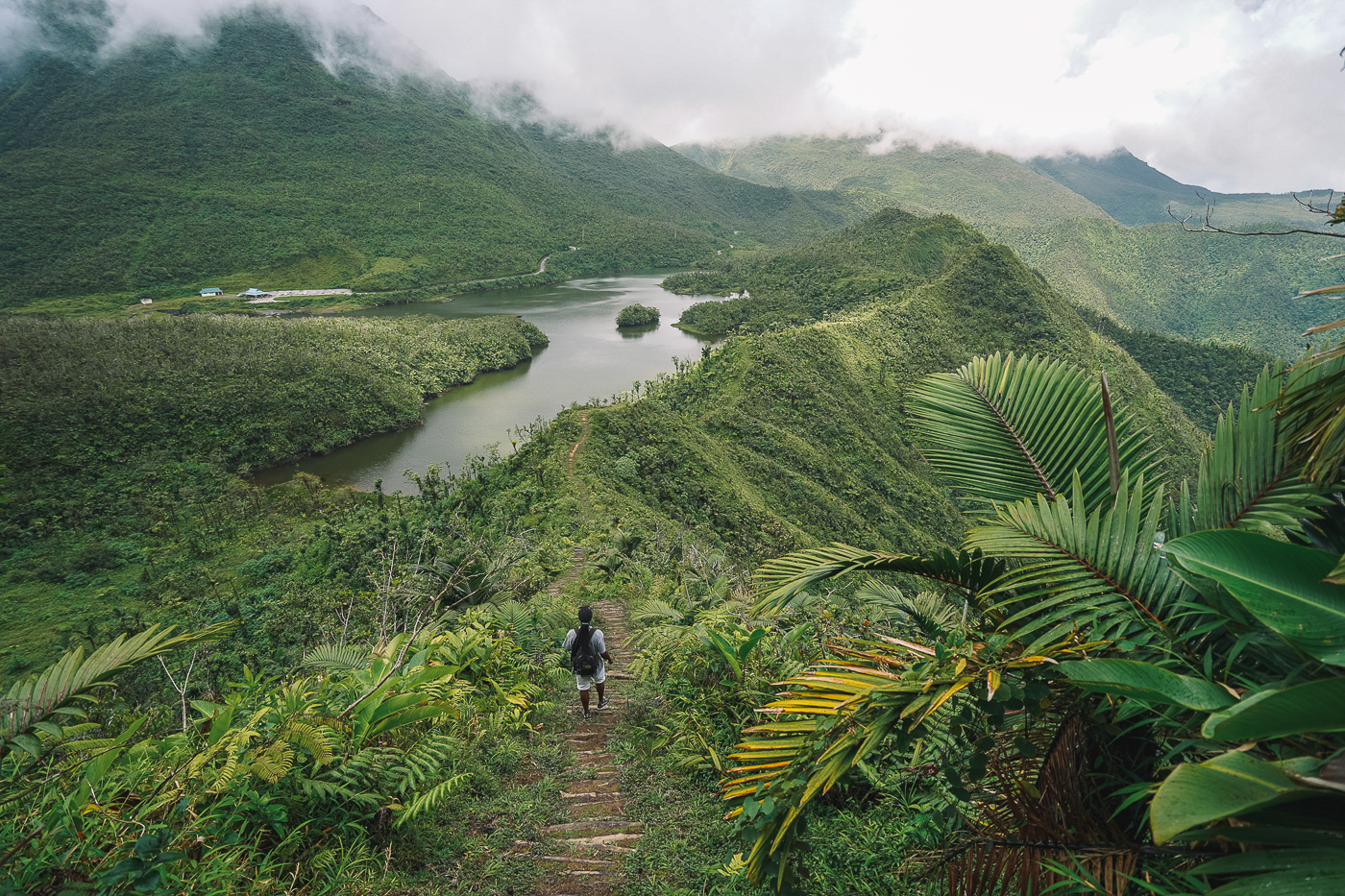 Montagnes dans la jungle verdoyante en Dominique par Explore le monde