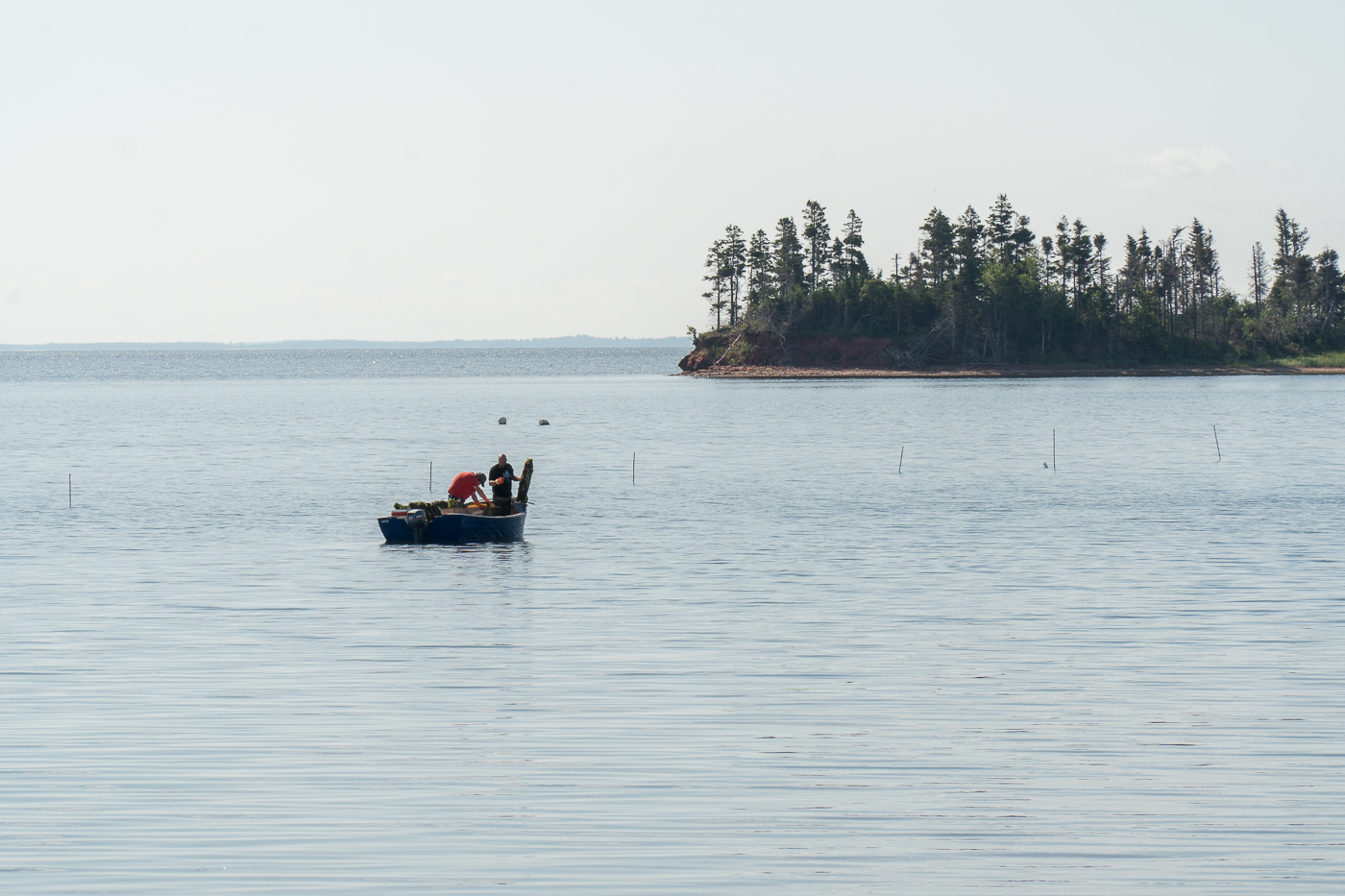 Pêcheurs mariculteurs sur L'eau - Sortie à faire à l'Île-du-Prince-Édouard