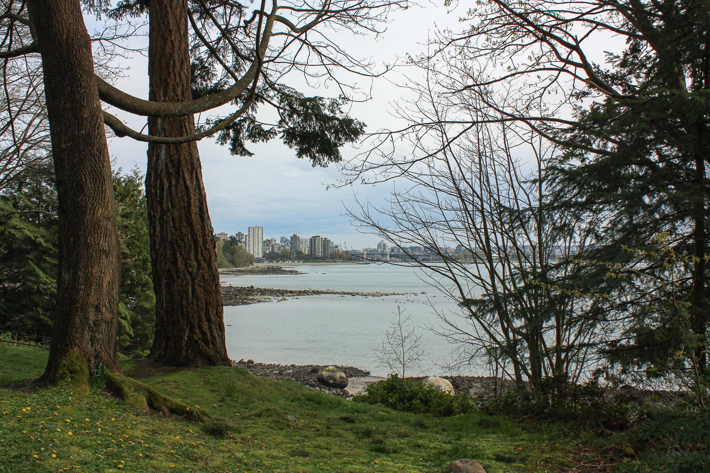 Vue de Stanley Park - Voyage à Vancouver