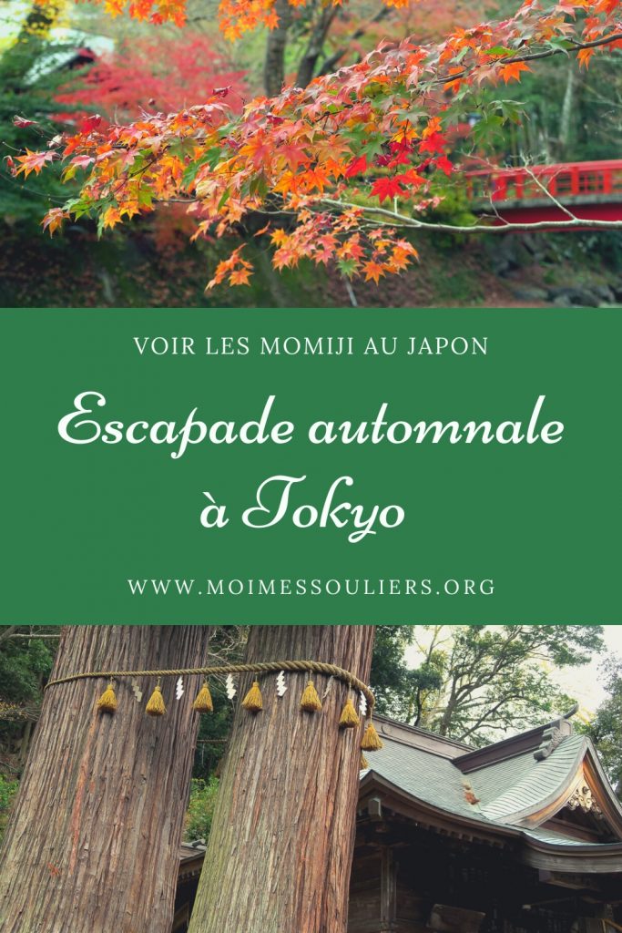 Escapade à Tokyo, Japon - Momiji