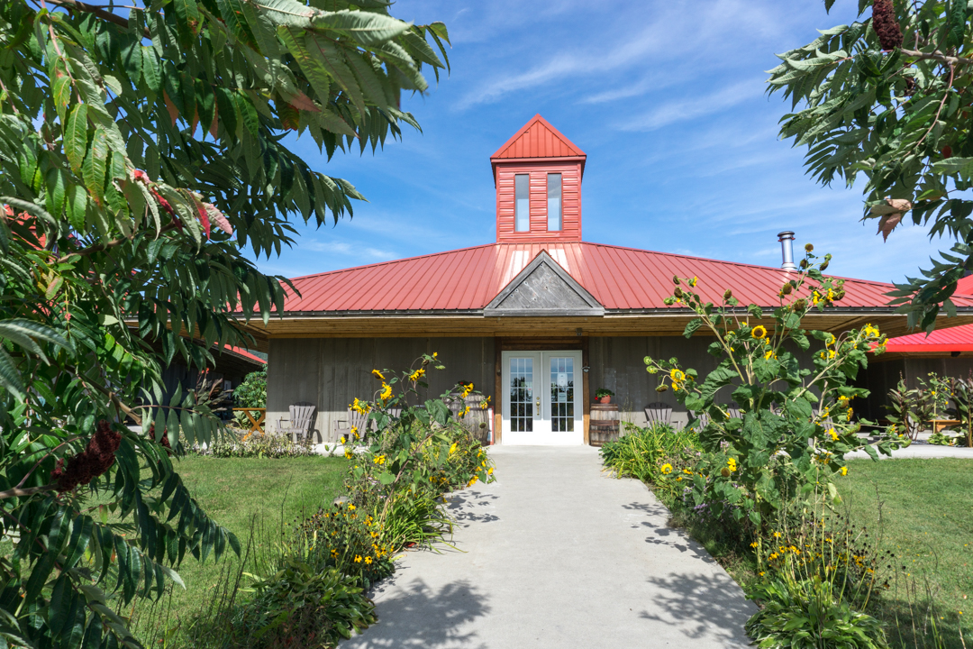 Devant le vignoble Domaine de Lavoie à voir en Montérégie