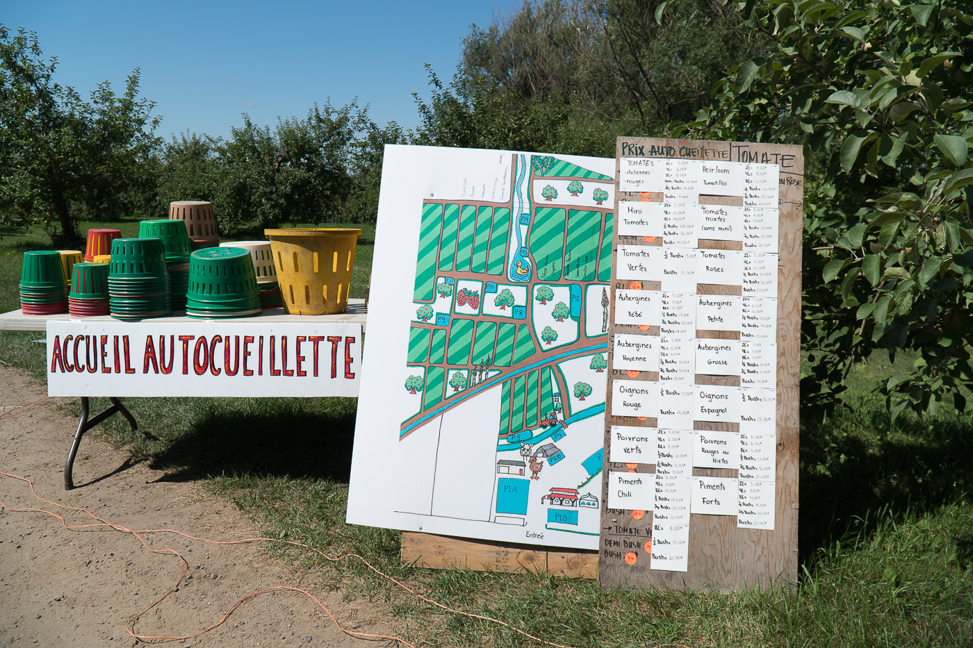 Où faire de l'autocueillette au coeur de la Montérégie? Potager Mont-Rouge Halte Gourmande