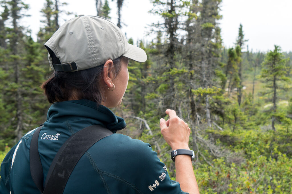 Guide Parcs Canada de l'archipel de Mingan