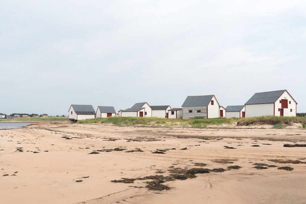 Les galets sur la plage - quoi faire à Natashquan